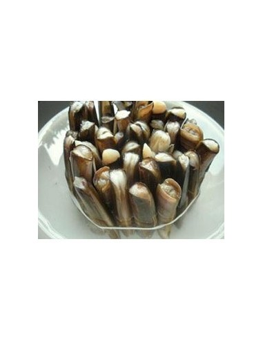 PAQUETE DE LONGUERONES O NAVAJAS
