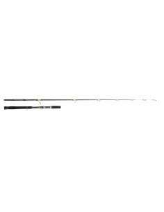 Caña cinnetic crazy kayak gold edition 5-30 lb