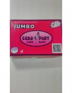 COREANA JUMBO