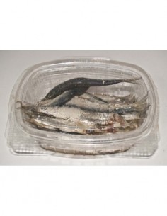 SARDINITAS